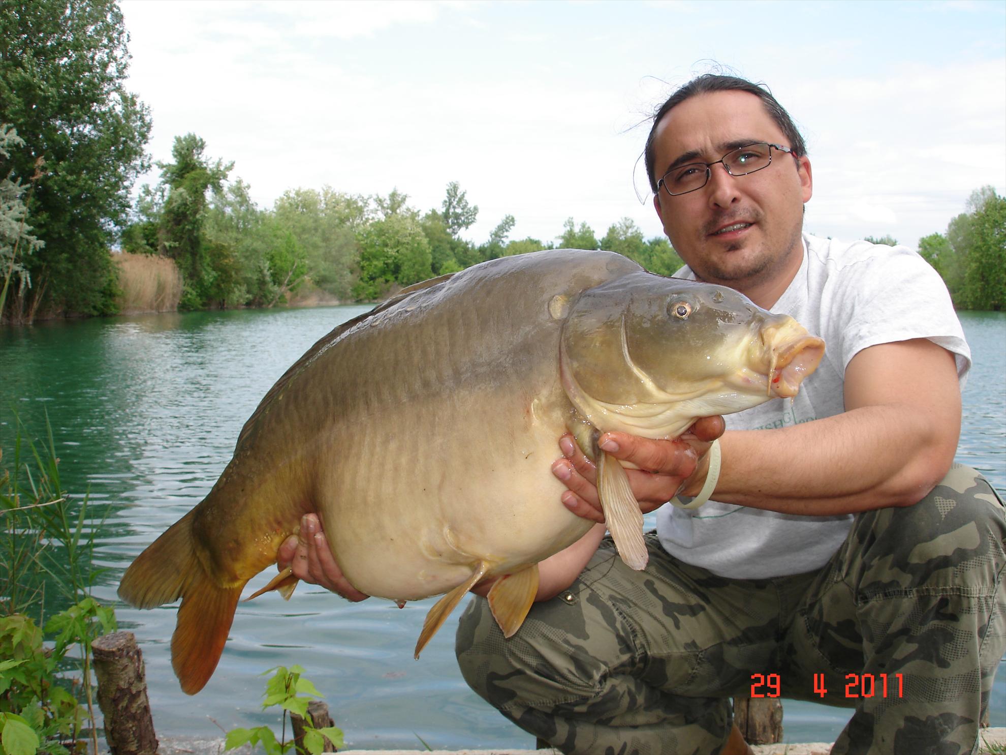 THE BIGS OF 2011 - p1000094.JPG